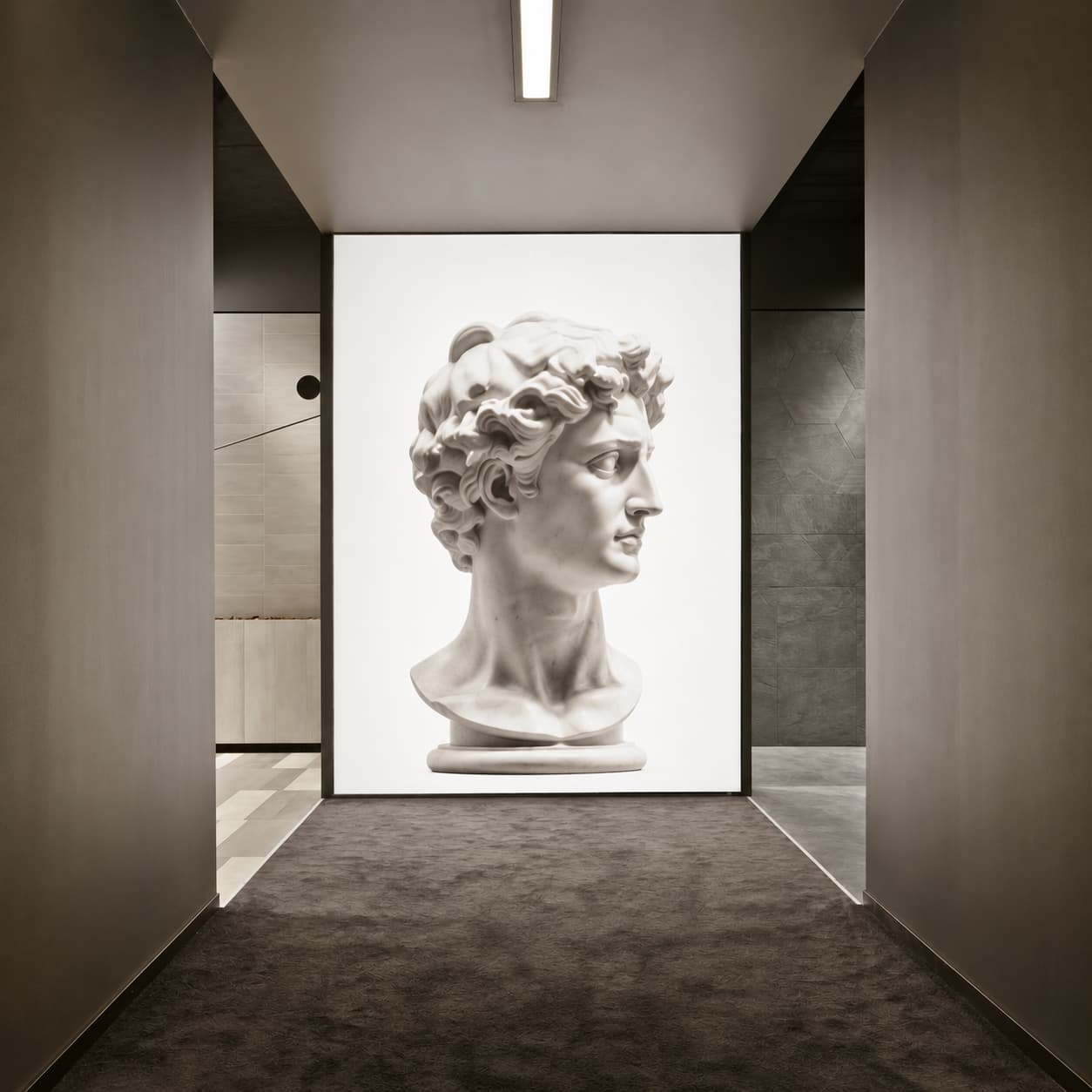 Films 3D y experiencias visuales para arte